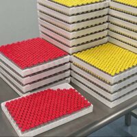 IGF-1 LR3 1mg